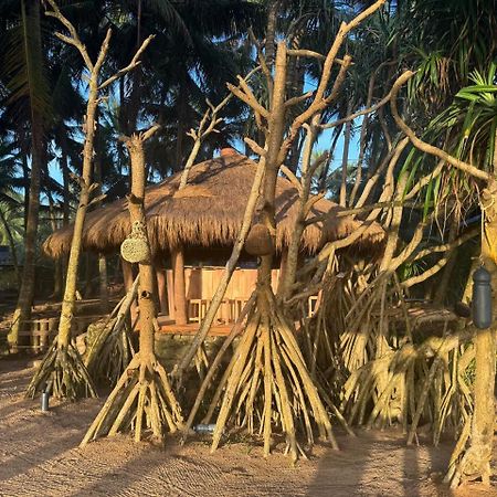 Hotel Coconut Bar Bentota Zewnętrze zdjęcie