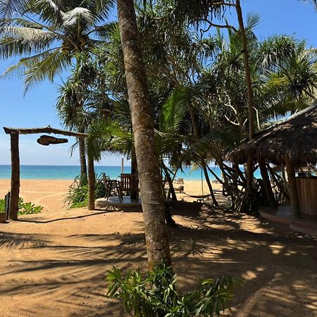 Hotel Coconut Bar Bentota Zewnętrze zdjęcie
