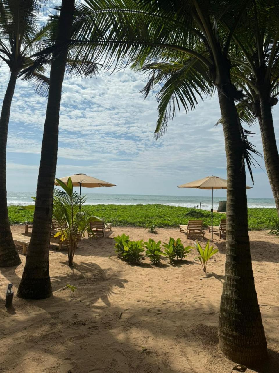Hotel Coconut Bar Bentota Zewnętrze zdjęcie