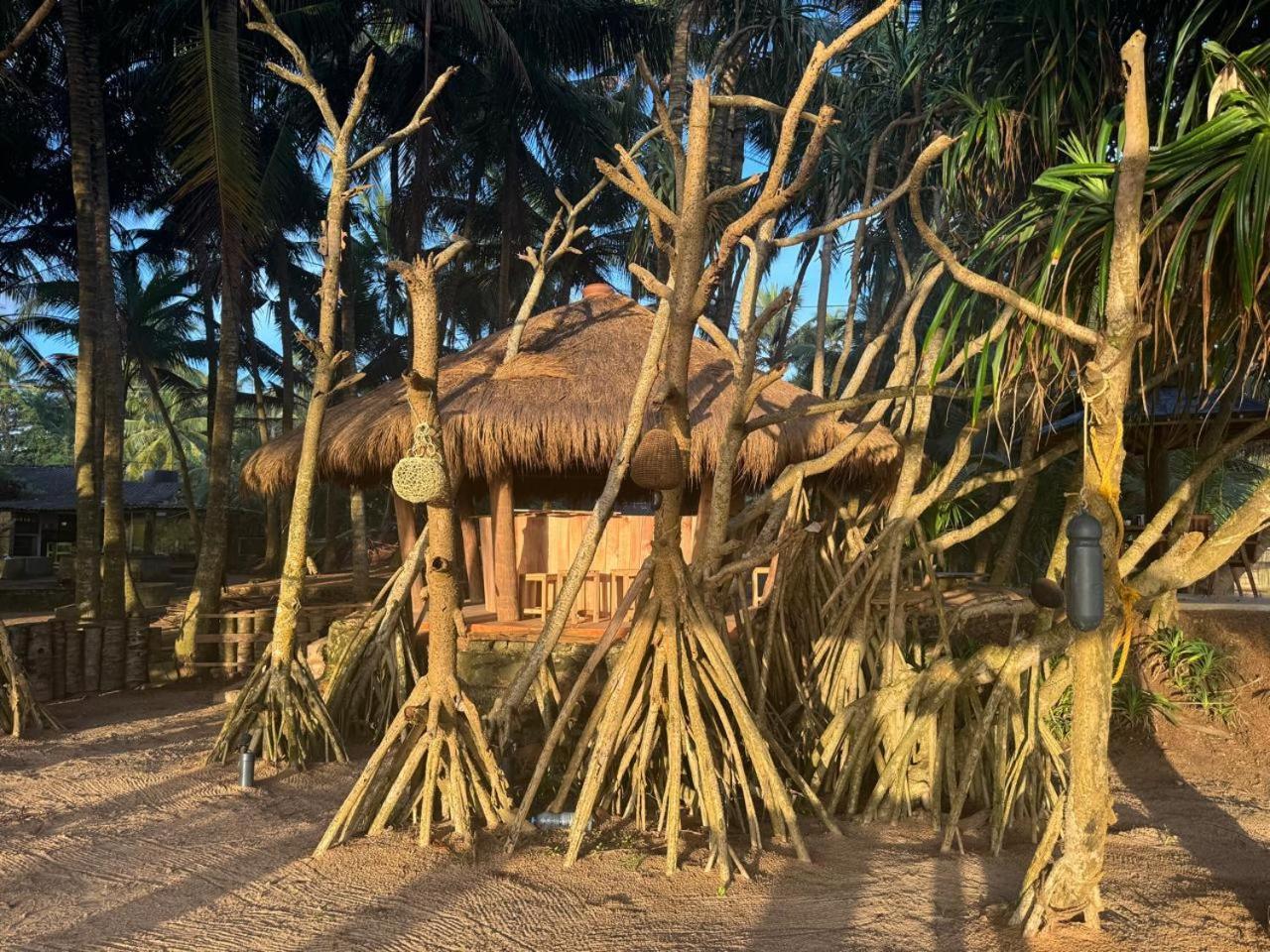 Hotel Coconut Bar Bentota Zewnętrze zdjęcie
