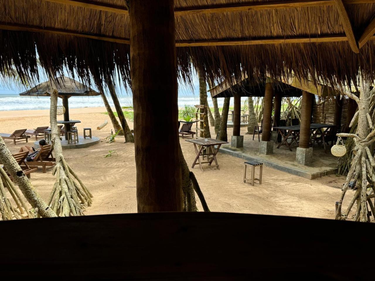 Hotel Coconut Bar Bentota Zewnętrze zdjęcie