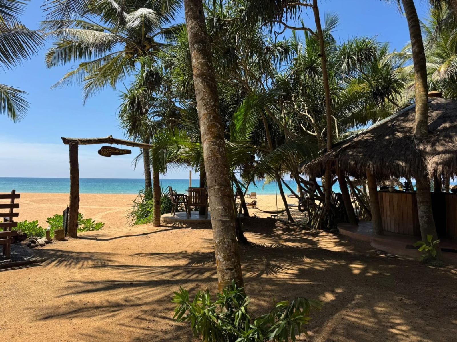 Hotel Coconut Bar Bentota Zewnętrze zdjęcie